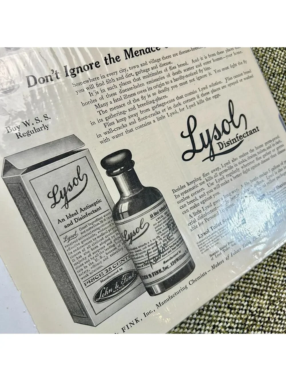 Vintage 1919 Lysol Disinfectant Ad‎ Ladies Home Journal Deadly Fly Art